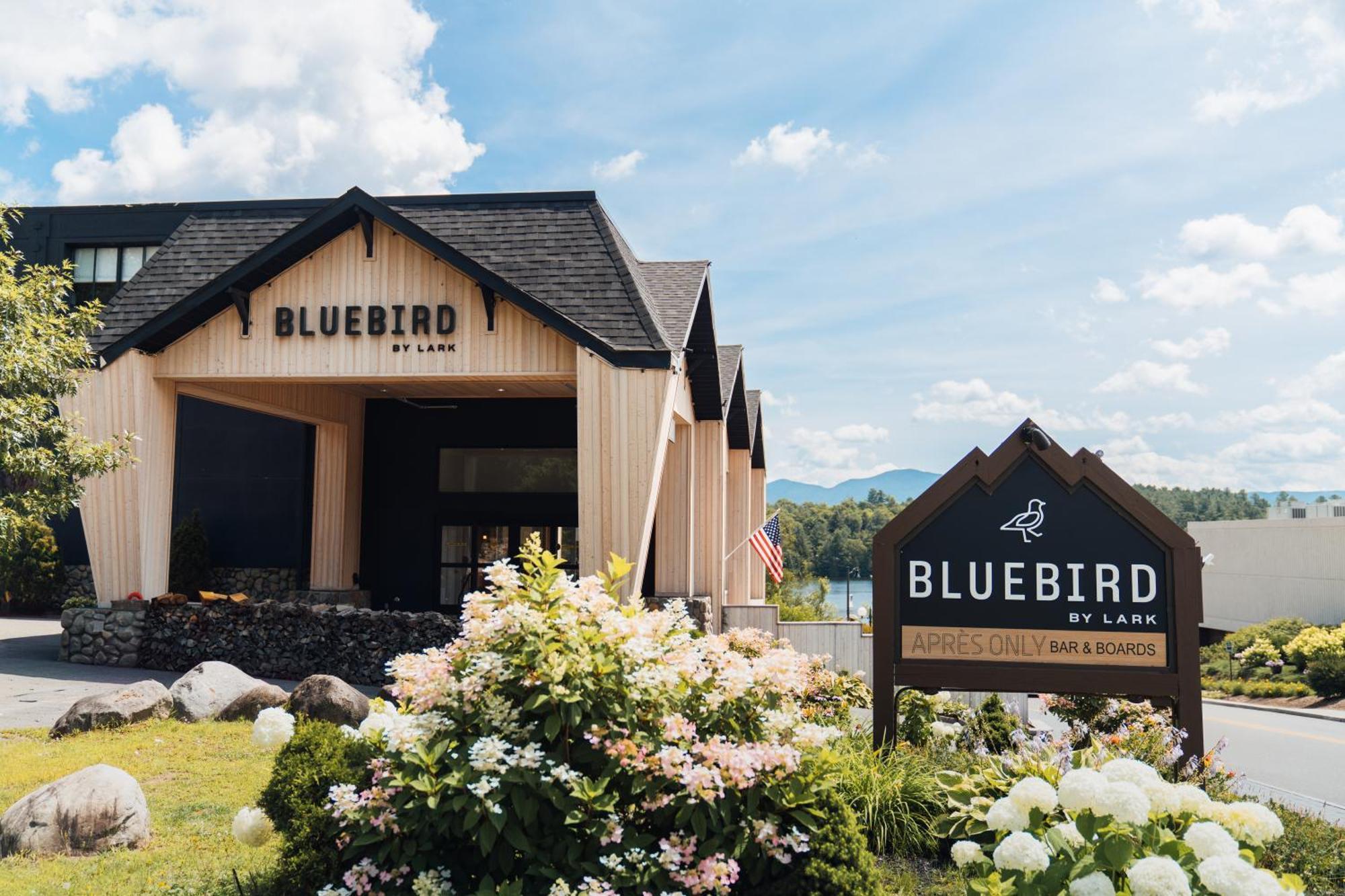 Bluebird لايك بلاسيد المظهر الخارجي الصورة