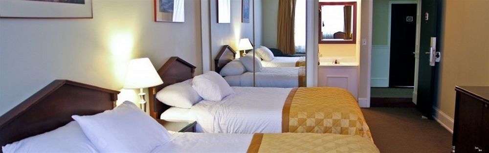Bluebird لايك بلاسيد المظهر الخارجي الصورة